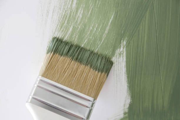 Best Emergency Mold Remediation  in Sur Hill, GA