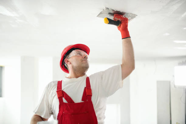 Biohazard Mold Removal in Sugar Hill, GA
