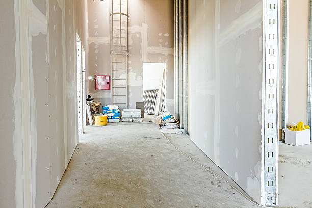 Best Post-Construction Mold Inspection  in Sur Hill, GA