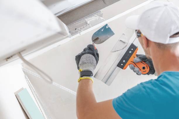 Best Mold Odor Removal Services  in Sur Hill, GA